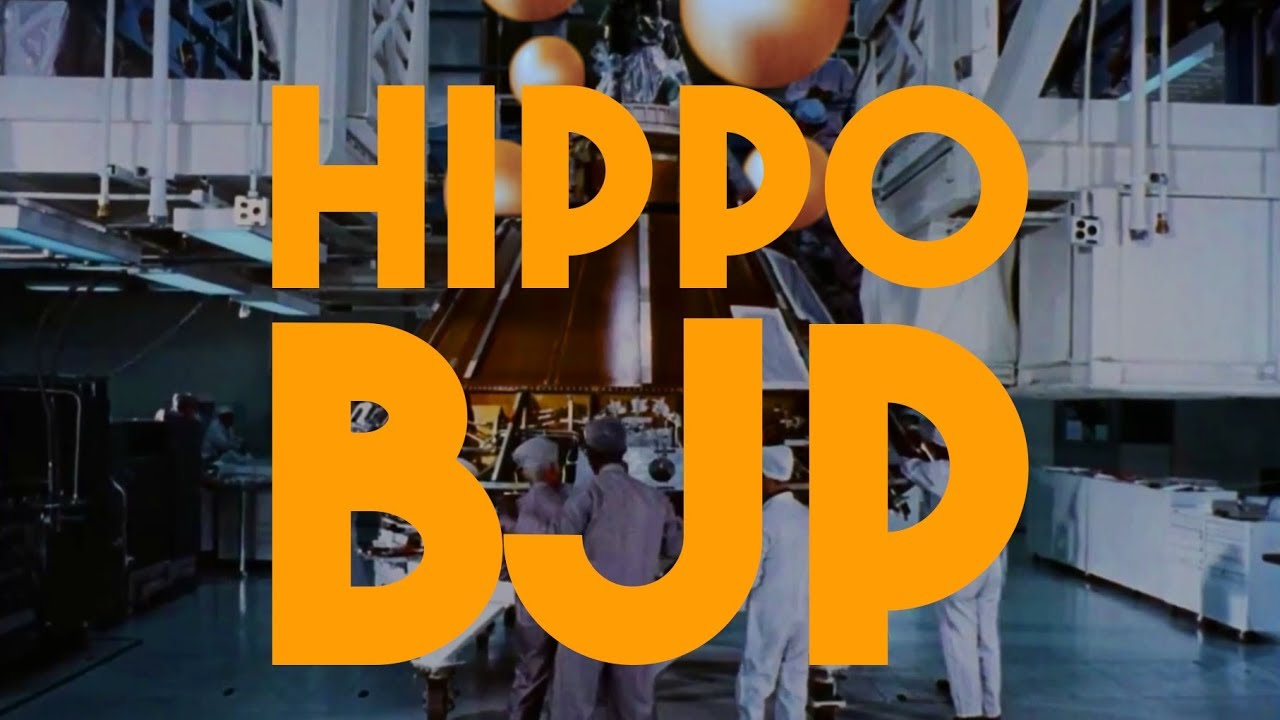 Hippo – BJP(Official Music Video)